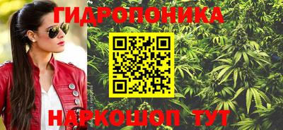 мяу мяу мука Кунгур