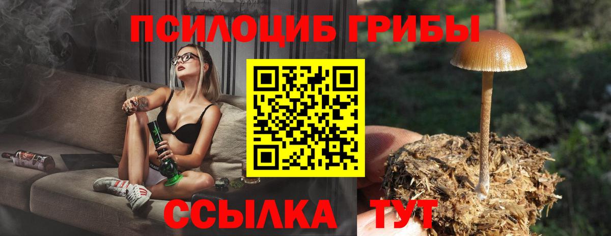Кирово-Чепецк  Псилоцибиновые грибы прущие грибы  Вход с VPN  Псилоцибиновые грибы MAGIC MUSHROOMS 